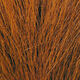 Preview image of product Large Northern Bucktail Rust #325