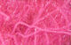 Preview image of product Polar Chenille #188 Hot Pink