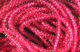 Preview image of product Micro Pearl Core Braid #310 Red