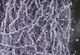 Preview image of product Micro Polar Chenille Scud Gray #332