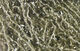 Preview image of product Micro Polar Chenille Scud Olive Gray #333