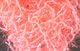 Preview image of product Micro Polar Chenille Shrimp Pink #343
