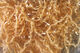 Preview image of product Micro Polar Chenille Tan #369