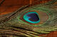Preview image of product UV2 Peacock Eyes 