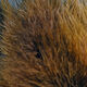 Preview image of product UV2 Premium Selected Marabou Brown
