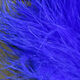 Preview image of product UV2 Premium Selected Marabou Royal Blue