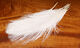 Preview image of product UV2 Raptor Hackle #141 Fl White