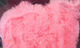 Preview image of product UV2 Roe Yarn Fl Salmon Pink