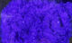 Preview image of product UV2 Roe Yarn Fl Bright Purple