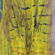 Preview image of product Dyed Ringneck Pheas. Tail Clump Yellow #383