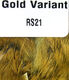 Preview image of product Rabbit Strips Gold Variant #21