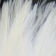 Preview image of product UV2 Strung Saddle White #027