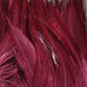 Preview image of product UV2 Strung Saddle Maroon #092