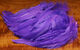Preview image of product Schlappen 5-7 Inch Hot Purple #190