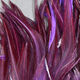 Preview image of product Woolly Bugger Saddle Hackle 6-7 Inch Purple #298