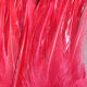 Preview image of product Woolly Bugger Saddle Hackle 6-7 Inch Claret #63