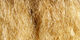 Preview image of product Sparkle Emerger Yarn #215 Lt.Tan