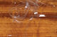 Preview image of product Small 1/8 Inch Stretchy Fly Skin #65 Clear