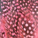 Preview image of product Strung Guinea Feathers Shrimp Pink #343