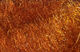 Preview image of product Senyo's Laser Hair 4.0 #46 Dark Orange Brown