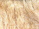 Preview image of product Senyo's Laser Hair 4.0 #47 Light Tan