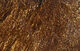 Preview image of product Senyo's Laser Hair 4.0 #53 Medium Brown