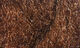 Preview image of product Senyo's Laser Hair 4.0 #60 Dark Red Brown