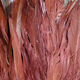 Preview image of product UV2 Strung Schlappen Medium Brown #004