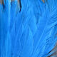 Preview image of product UV2 Strung Schlappen K F Blue #096