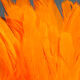 Preview image of product UV2 Strung Schlappen Fl Orange #131