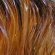 Preview image of product Saltwater Neck Hackle Fiery Brown #114