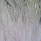 Preview image of product Saltwater Neck Hackle Gray #165