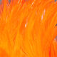 Preview image of product Saltwater Neck Hackle Hot Orange #187