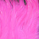 Preview image of product Saltwater Neck Hackle Hot Pk #188