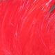 Preview image of product Saltwater Neck Hackle Red #310
