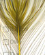 Preview image of product Stripped Peacock Eye #383 Yellow