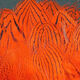 Preview image of product Silver Pheasant Body Feathers #187 Hot Orange