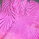 Preview image of product Silver Pheasant Body Feathers #188 Hot Pink