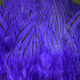 Preview image of product Silver Pheasant Body Feathers #298 Purple 