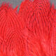 Preview image of product Silver Pheasant Body Feathers #310 Red 