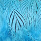 Preview image of product Silver Pheasant Body Feathers #347 Silver Doctor Blue 