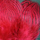 Preview image of product Silver Pheasant Body Feathers #63 Claret 