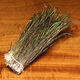 Preview image of product Strung Peacock Herl 5-7 Inch Large Package