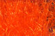 Preview image of product Senyo's Shaggy Dub #187 Hot Orange