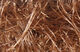 Preview image of product Senyo's Shaggy Dub #228 Medium Brown