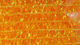 Preview image of product Krystal Pearl Chenille Fl. Orange #137