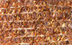 Preview image of product Solid Tinsel Chenille Copper #67