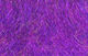 Preview image of product UV2 Seal-X Dubbing Purple #091
