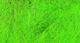 Preview image of product UV2 Seal-X Ice Dubbing Green Catcher #225