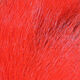 Preview image of product UV2 Select Bucktail Fl. Red #136